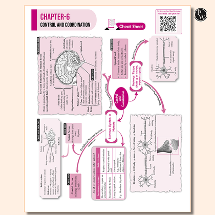 CBSE class 10th  Sample papers