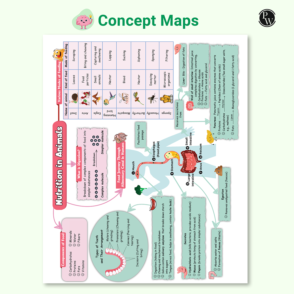 Olympiad Plus Workbook For Class 7 Science Prepguide, Concept Map, PYQs and Worksheets For After School Practice | NSO, ISO, IOS, Hindustan Olympiad, NSTSE and Others