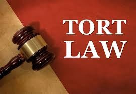 Shopify Torts Law