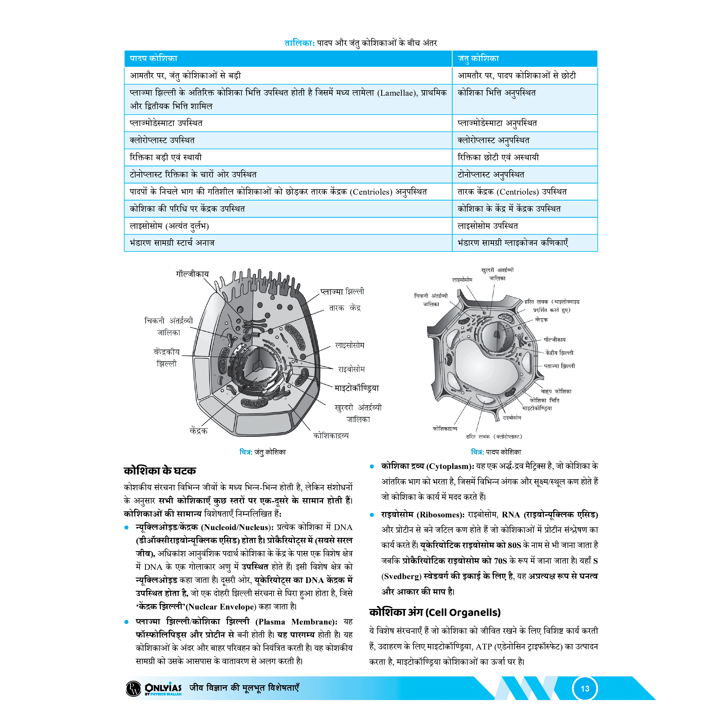 UDAAN (Prelims Wallah Static) Science & Technology Hindi Edition For 2025 Exams