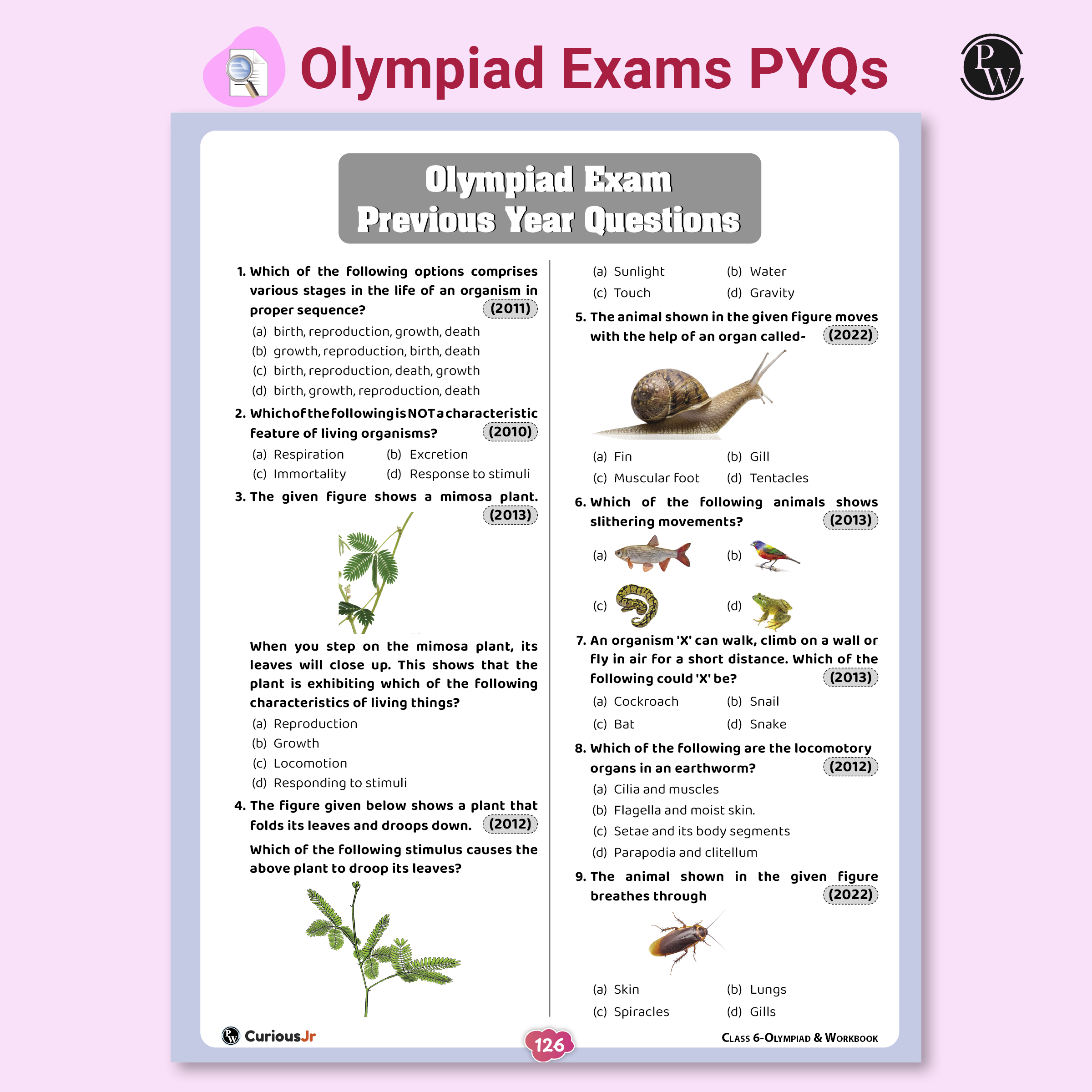Olympiad Plus Workbook For Class 6 Science Prepguide, Concept Map, PYQs and Worksheets For After School Practice | NSO, ISO, iOS, Hindustan Olympiad, NSTSE and Others